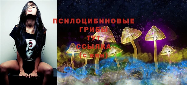 дживик Покровск