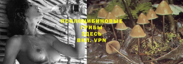 дживик Покровск