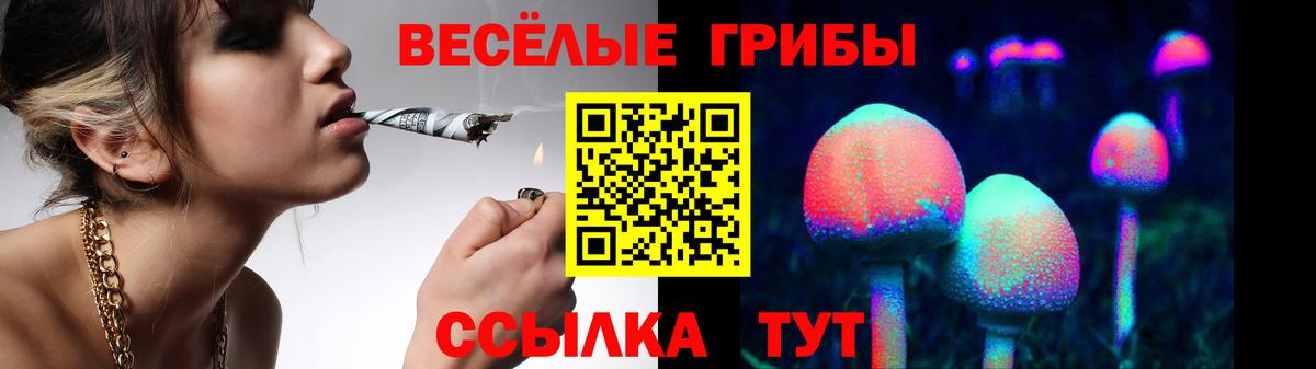 Москва  Галлюциногенные грибы MAGIC MUSHROOMS  купить наркотик  Вход с VPN 